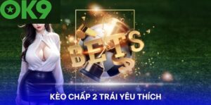 Chiến Thuật Cược Cửa Dưới Với Kèo Chấp 2