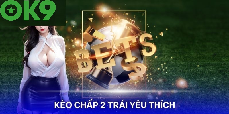 Chiến Thuật Cược Cửa Dưới Với Kèo Chấp 2