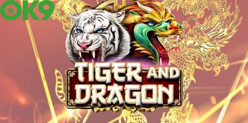 Những Lưu Ý Nên Biết Khi Áp Dụng Mẹo Chơi Rồng Hổ