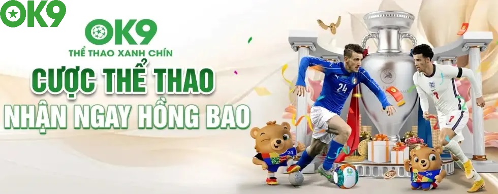 Giới Thiệu Chung Về OK9