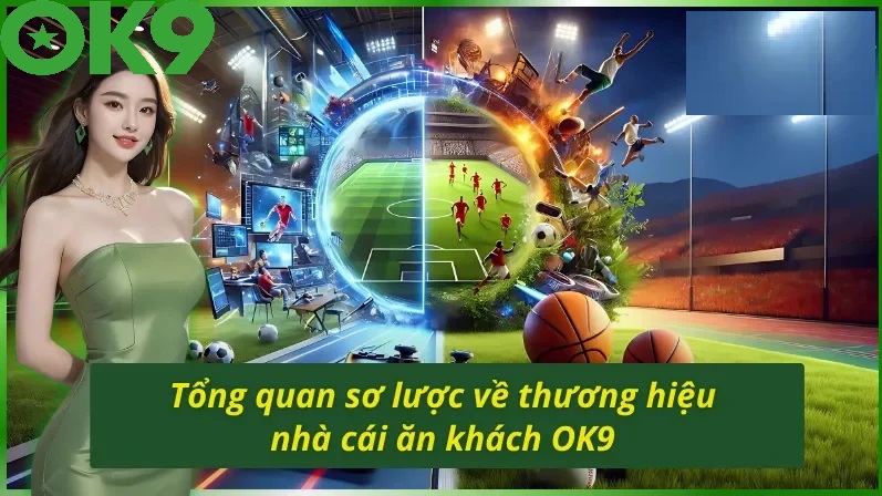 Hệ Thống Bảo Mật & Giấy Phép Hoạt Động