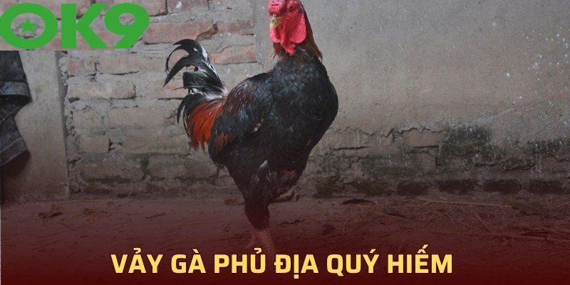 Tìm hiểu về Vảy gà Tứ Quý Phủ Địa chi tiết